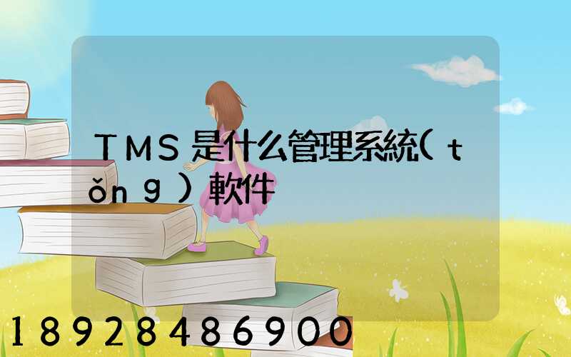 TMS是什么管理系統(tǒng)軟件
