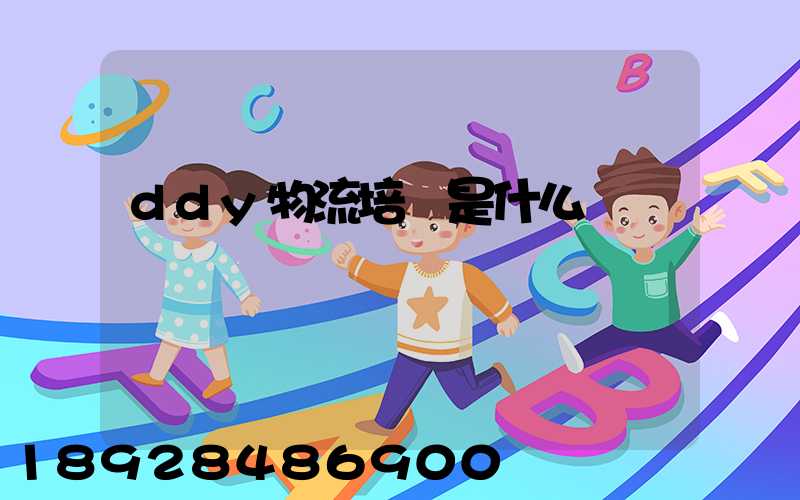 ddy物流培訓是什么