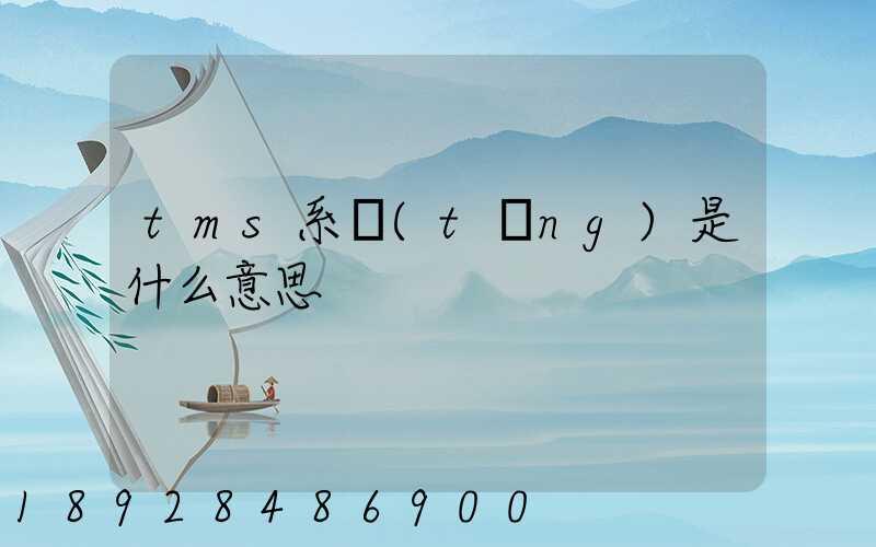 tms系統(tǒng)是什么意思