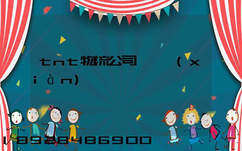 tnt物流公司運輸現(xiàn)狀