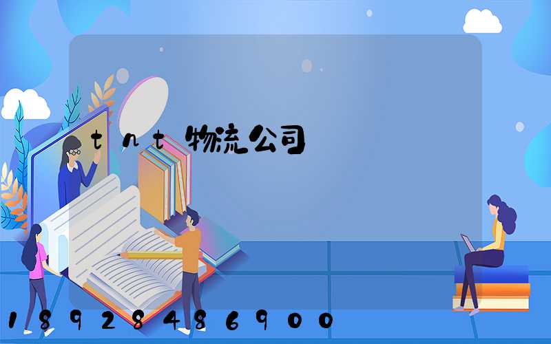 tnt物流公司運輸現狀