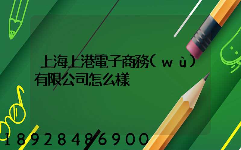 上海上港電子商務(wù)有限公司怎么樣