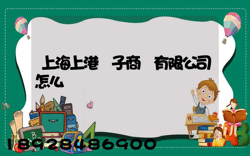 上海上港電子商務有限公司怎么樣