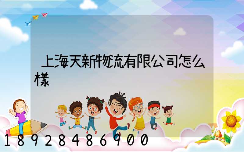 上海天新物流有限公司怎么樣