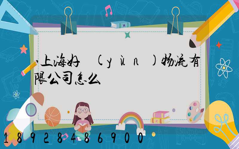 上海好運(yùn)物流有限公司怎么樣