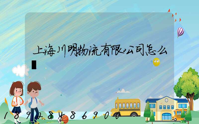 上海川明物流有限公司怎么樣
