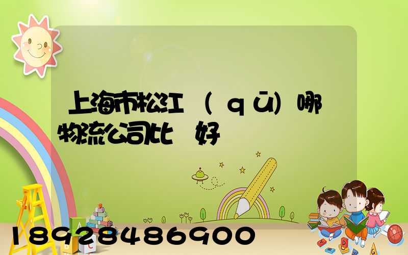 上海市松江區(qū)哪個物流公司比較好