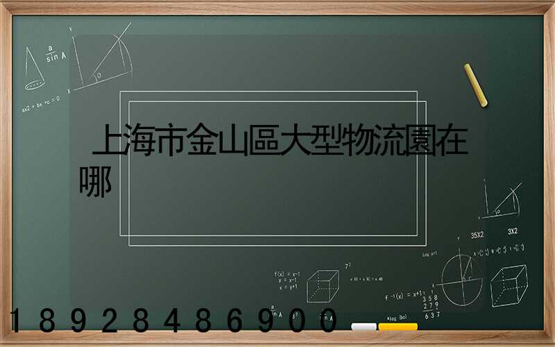 上海市金山區大型物流園在哪