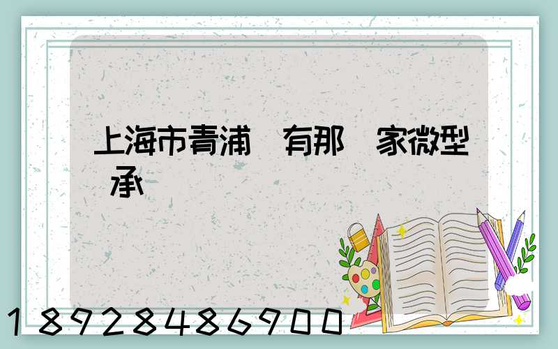 上海市青浦區有那幾家微型軸承廠