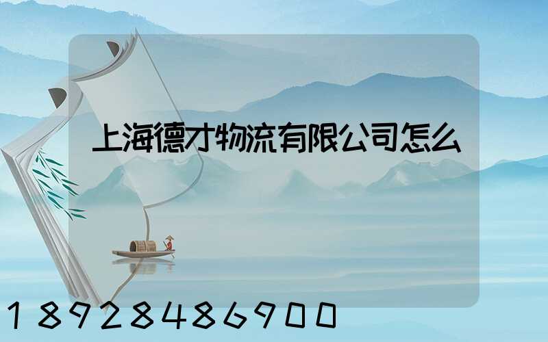 上海德才物流有限公司怎么樣