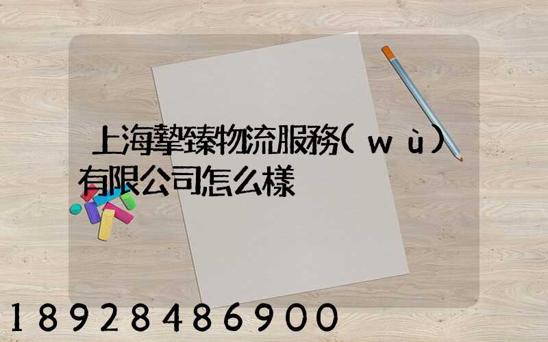 上海摯臻物流服務(wù)有限公司怎么樣