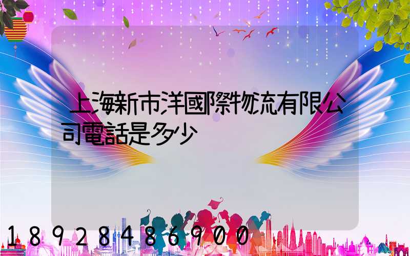 上海新市洋國際物流有限公司電話是多少