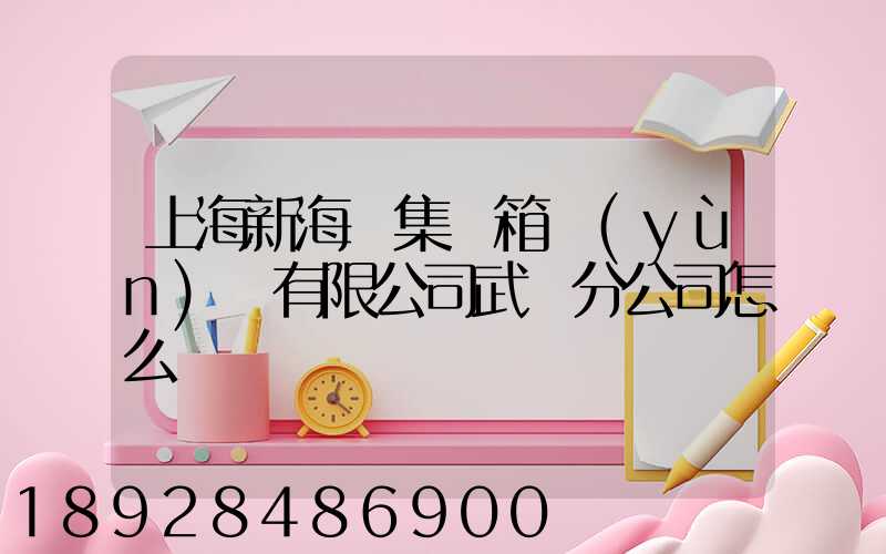 上海新海豐集裝箱運(yùn)輸有限公司武漢分公司怎么樣