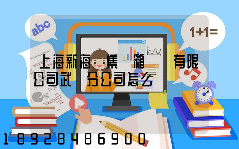 上海新海豐集裝箱運輸有限公司武漢分公司怎么樣