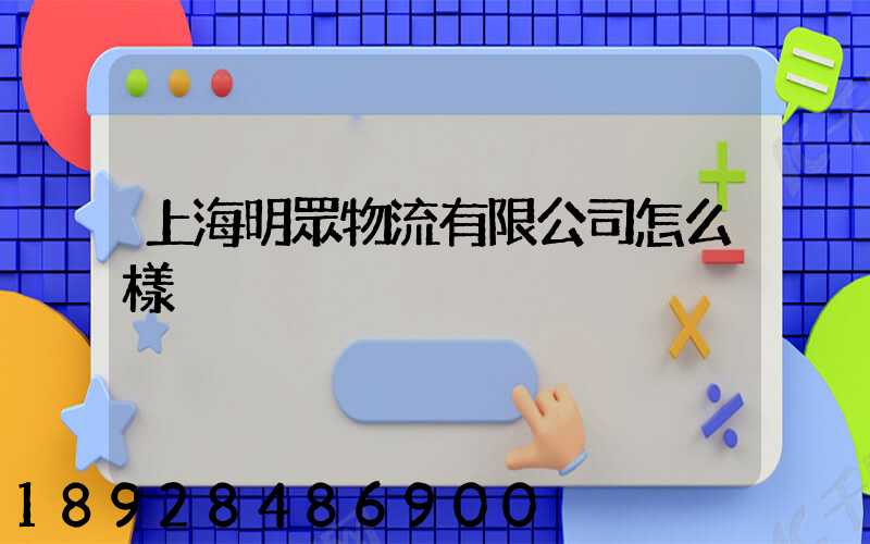 上海明眾物流有限公司怎么樣