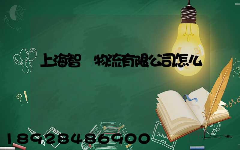 上海智寶物流有限公司怎么樣