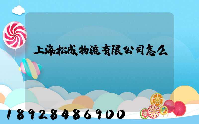 上海松成物流有限公司怎么樣