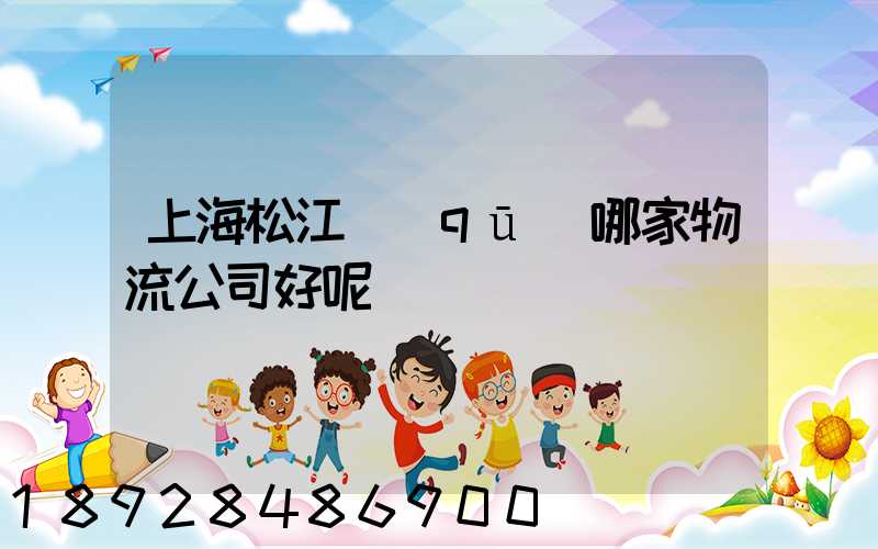 上海松江區(qū)哪家物流公司好呢