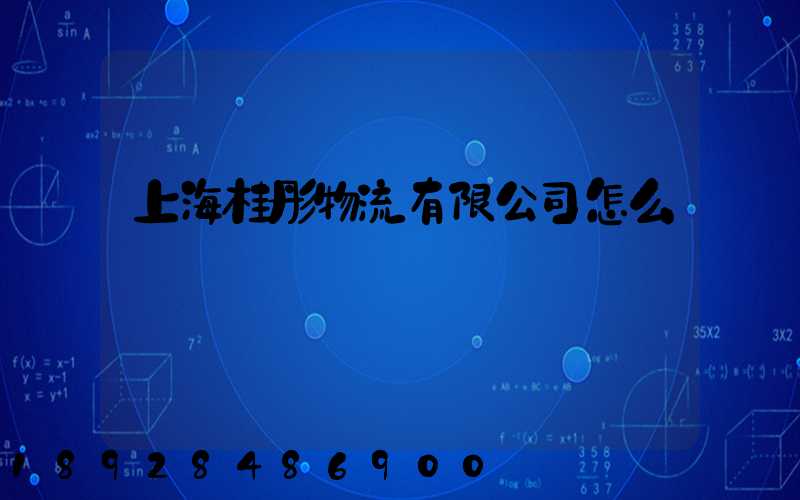 上海桂彤物流有限公司怎么樣