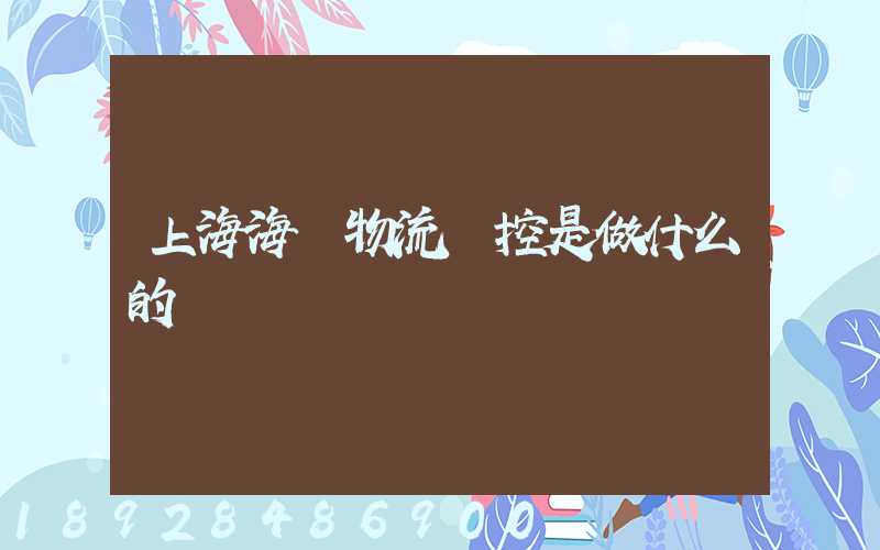 上海海關物流監控是做什么的