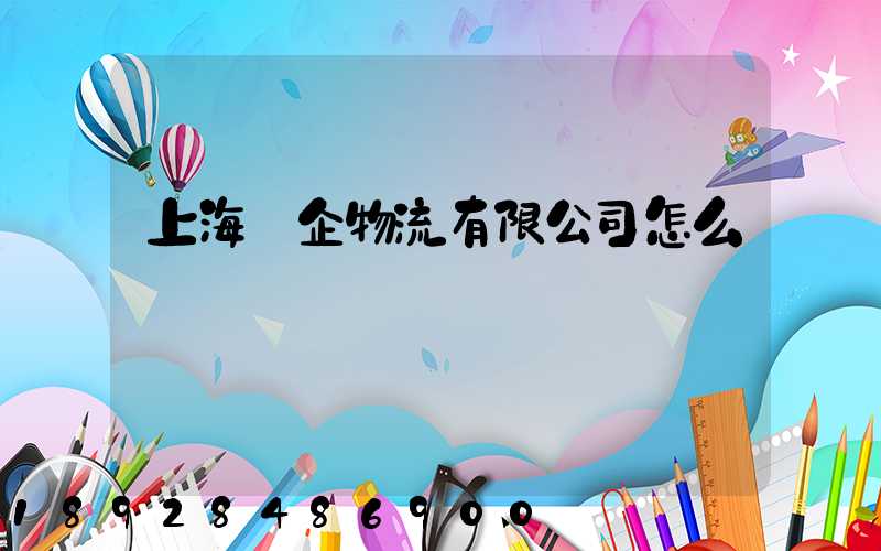 上海澤企物流有限公司怎么樣