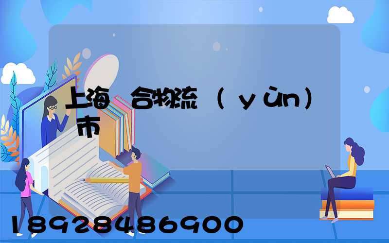 上海綜合物流運(yùn)輸市場