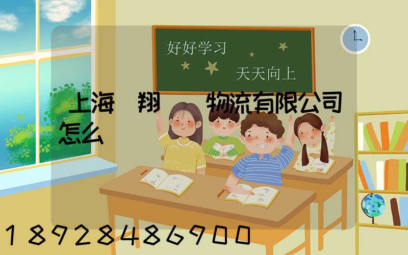 上海萬翔國際物流有限公司怎么樣