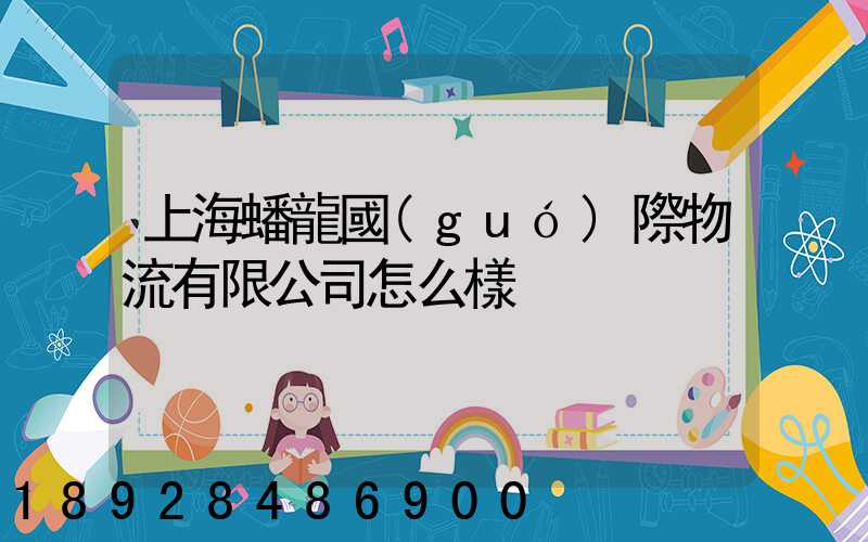 上海蟠龍國(guó)際物流有限公司怎么樣
