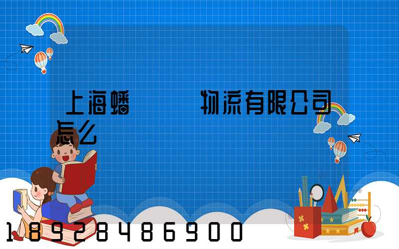 上海蟠龍國際物流有限公司怎么樣