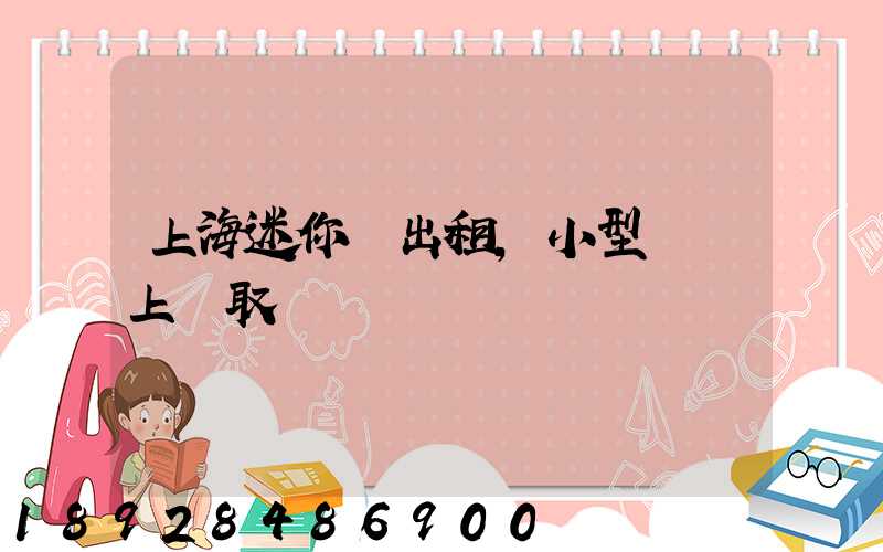 上海迷你倉出租,小型倉庫上門取貨