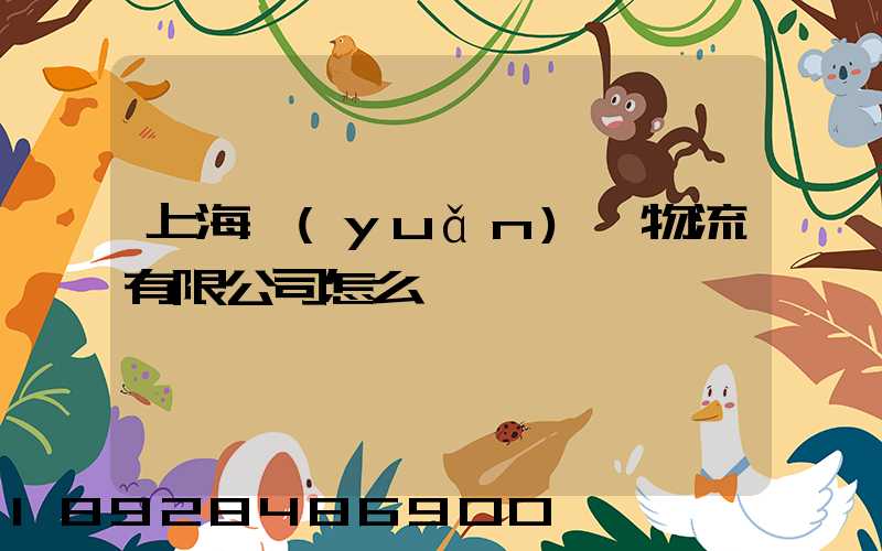 上海遠(yuǎn)瀚物流有限公司怎么樣