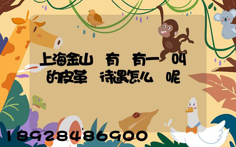 上海金山區有沒有一個叫華豐的皮革廠待遇怎么樣呢