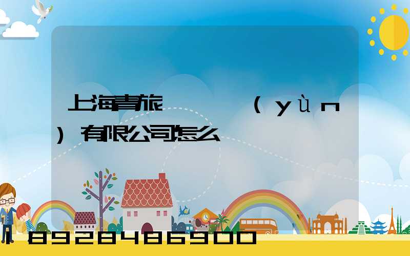 上海青旅國際貨運(yùn)有限公司怎么樣