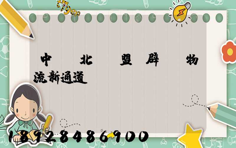 中國東北與東盟開辟國際物流新通道