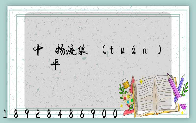 中國物流集團(tuán)運輸平臺