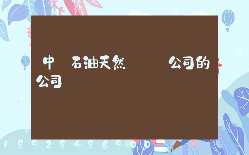 中國石油天然氣運輸公司的公司領導