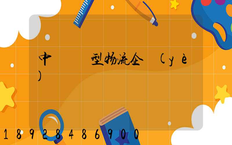 中國運輸型物流企業(yè)