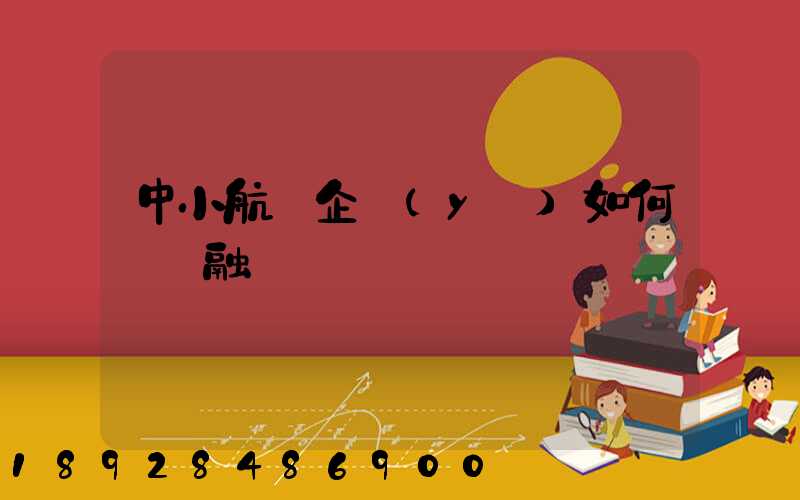 中小航運企業(yè)如何應對融資難