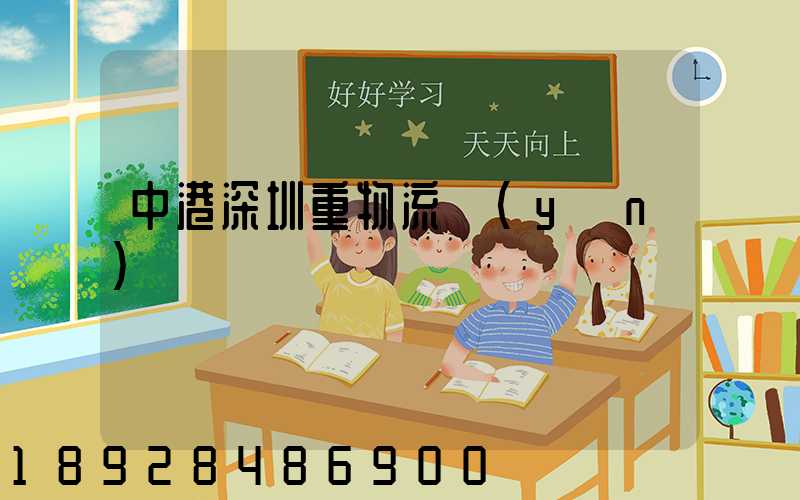 中港深圳重物流運(yùn)輸