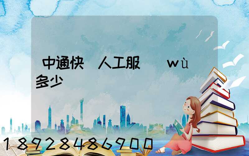 中通快遞人工服務(wù)多少