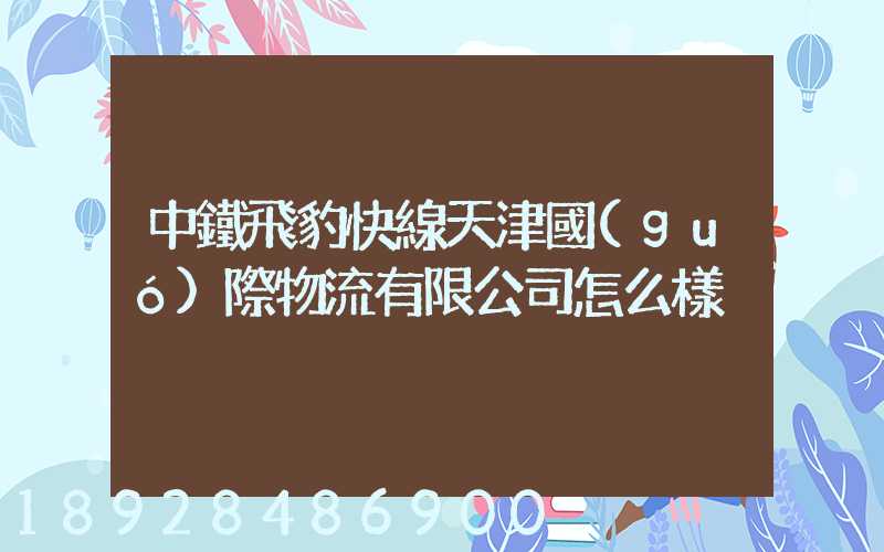 中鐵飛豹快線天津國(guó)際物流有限公司怎么樣