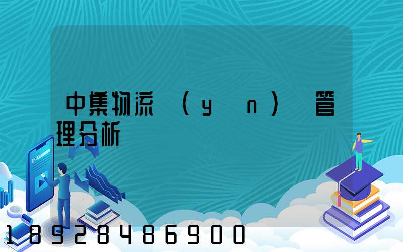 中集物流運(yùn)輸管理分析