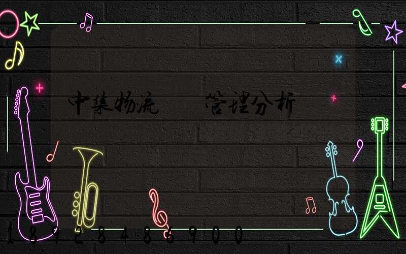 中集物流運輸管理分析