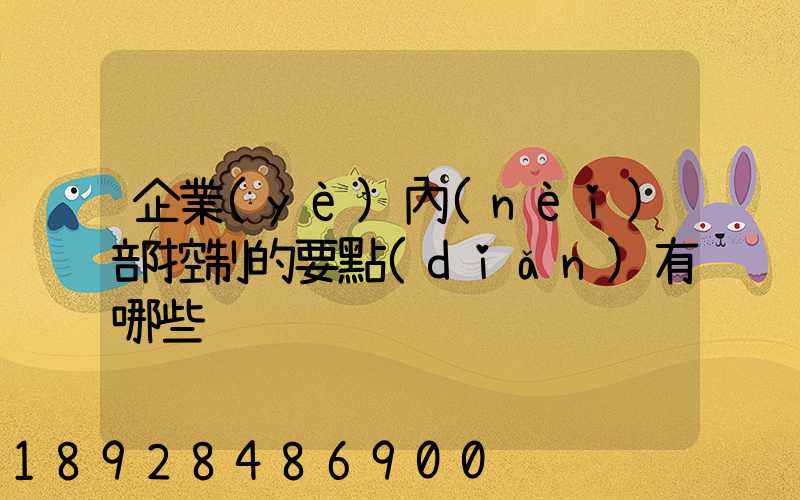 企業(yè)內(nèi)部控制的要點(diǎn)有哪些