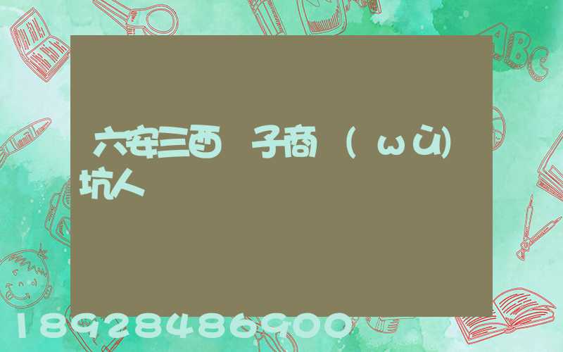 六安三酉電子商務(wù)坑人嗎