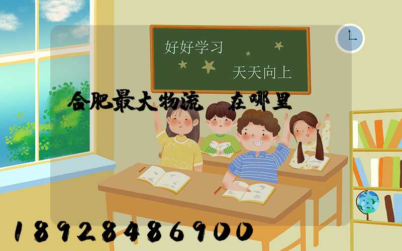 合肥最大物流園在哪里