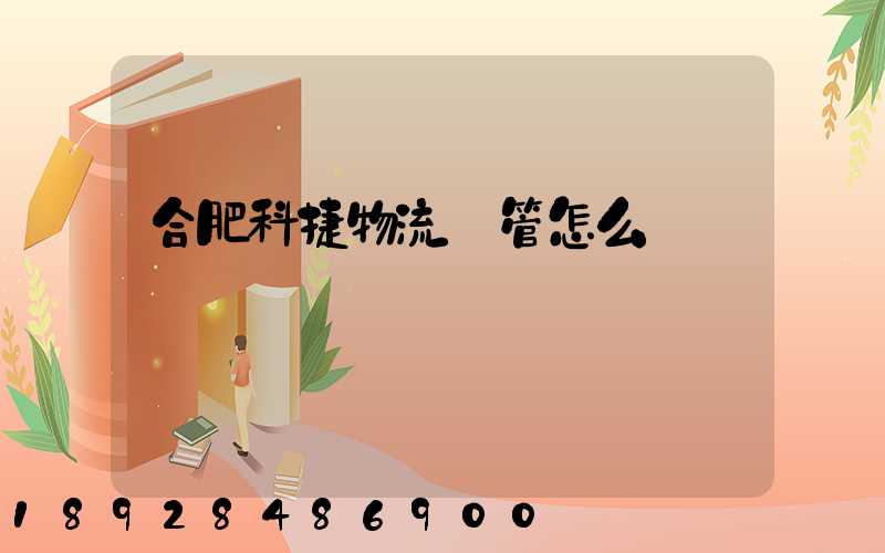 合肥科捷物流倉管怎么樣