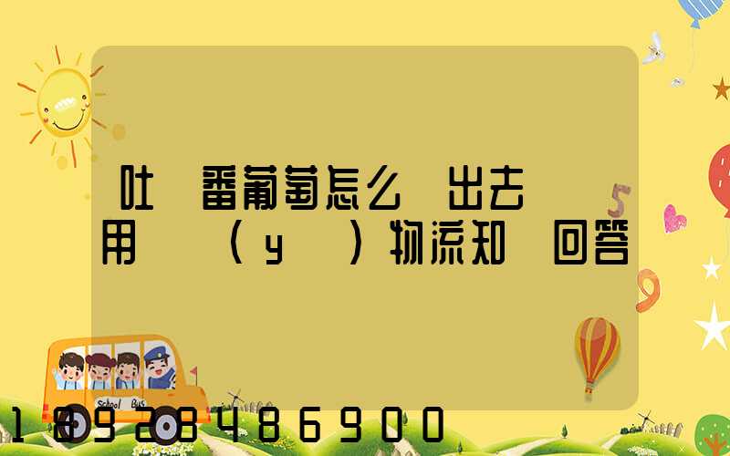 吐魯番葡萄怎么運出去請運用專業(yè)物流知識回答