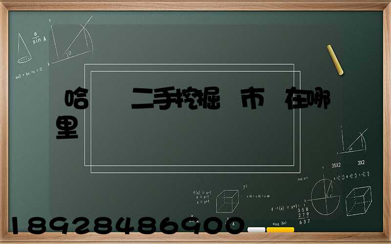 哈爾濱二手挖掘機市場在哪里