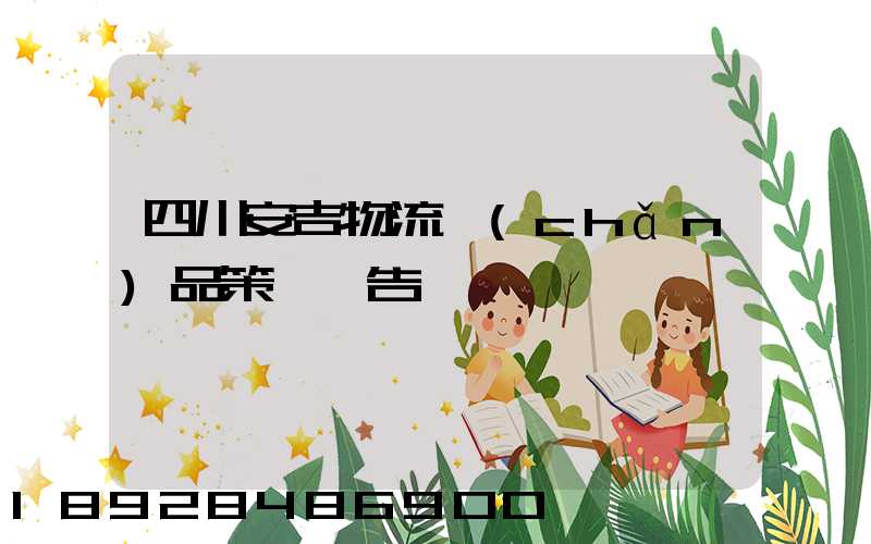 四川安吉物流產(chǎn)品策劃報告